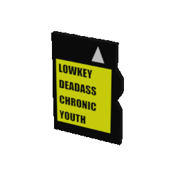 Chronic Youth - Lowkey Deadass [microSD, 2019]