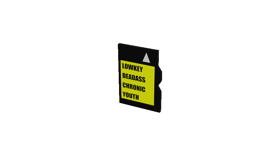 Chronic Youth - Lowkey Deadass [microSD, 2019]
